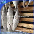 Whole round frozen skipjack tuna price canned tuna fish